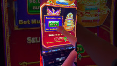 Prime Casino Online Slots, Table Games, Live Dealers & More