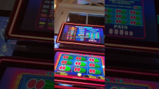 The Categories of Casino Regulations 2008